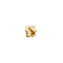 Simbol Popcorn Pirots 2